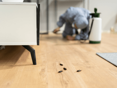 About Longleaf Village Rodent Exclusion - rodent exclusion experts in Longleaf Village